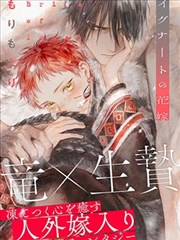 钢之炼金术师 剧场版 原画设定集 封面